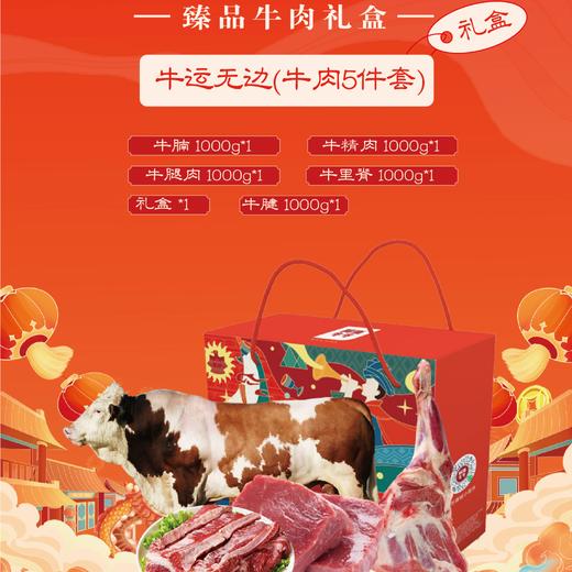 【凉山味道】牛运无边牛肉5件套臻品牛肉礼盒 商品图0