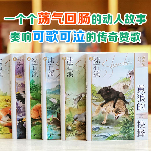 沈石溪动物小说短经典（共6册） 懒猴的秘密/列鸟/灰鹅一家/杜鹃筑巢/黄狼的抉择/小火鸡的报恩 商品图3