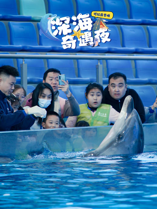 广州海洋馆【夜间露营研学】深海奇遇夜，探秘海洋生物的“夜生活”，动物园飞鸟寻踪！ 商品图1