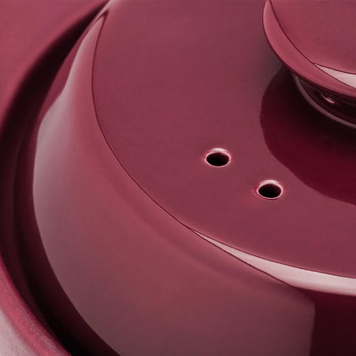 COSTA砂锅CO-SG001【LXJYCJ2.0】 商品图4