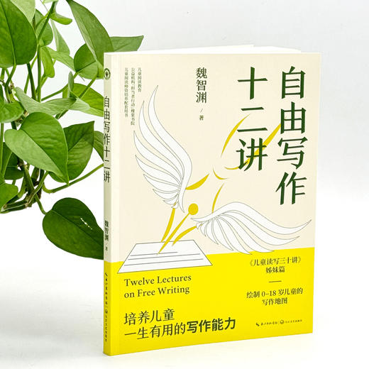 自由写作十二讲 / 儿童读写三十讲 魏智渊作品 学校订购电话/微信15080035301 商品图4