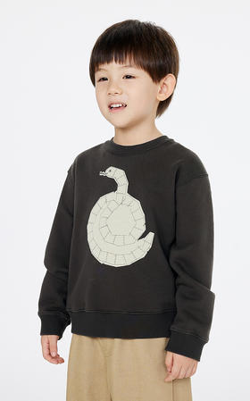 jnby   25年春款  套头卫衣  1P1412730