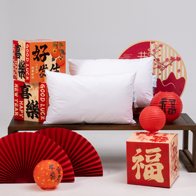 🧧新年发财枕！枕出一年好运气