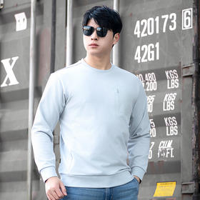 二代龙牙隐之云杨棉感圆领卫衣