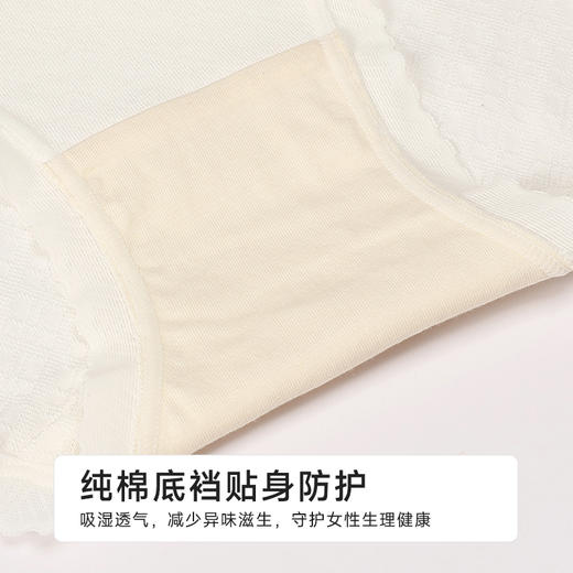 都市丽人纯棉系列RC提花舒肤棉平角裤LKH5C6 商品图7