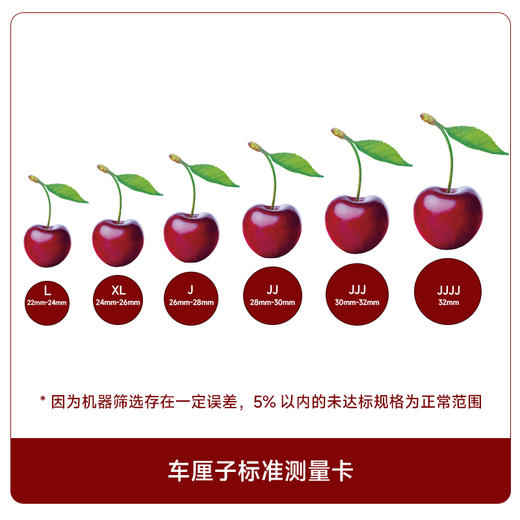 进口车厘子5斤装（华南六省包邮） 商品图5