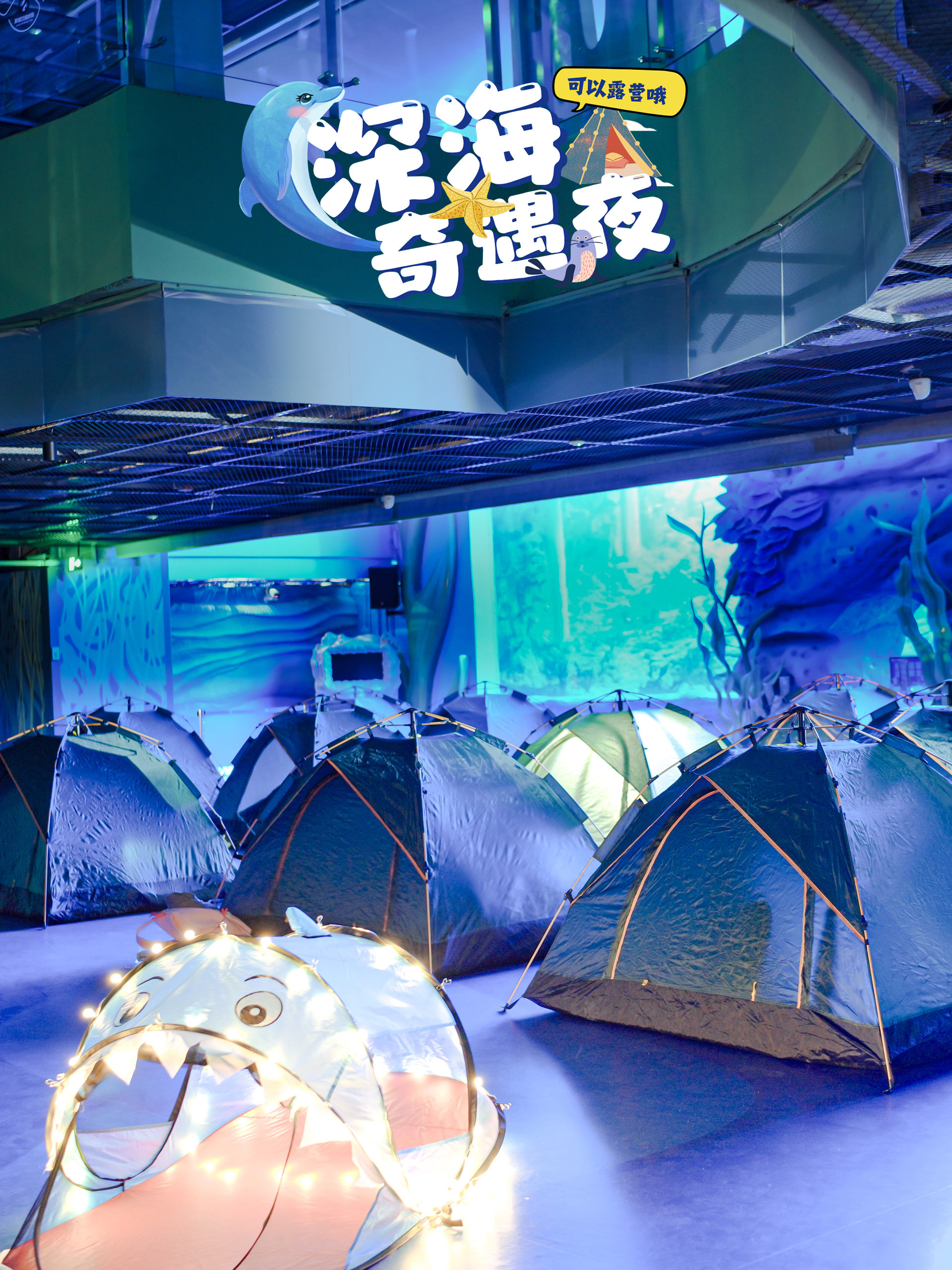 广州海洋馆【夜间露营研学】深海奇遇夜，探秘海洋生物的“夜生活”，动物园飞鸟寻踪！