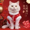 猫咪衣服德文卷毛无毛猫银渐层秋冬季防掉毛保暖狗狗过年喜庆唐装 商品缩略图2