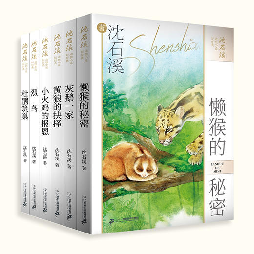 沈石溪动物小说短经典（共6册） 懒猴的秘密/列鸟/灰鹅一家/杜鹃筑巢/黄狼的抉择/小火鸡的报恩 商品图1