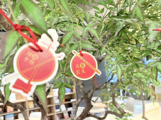 2025年金蛇狂舞新春礼盒 商品图1