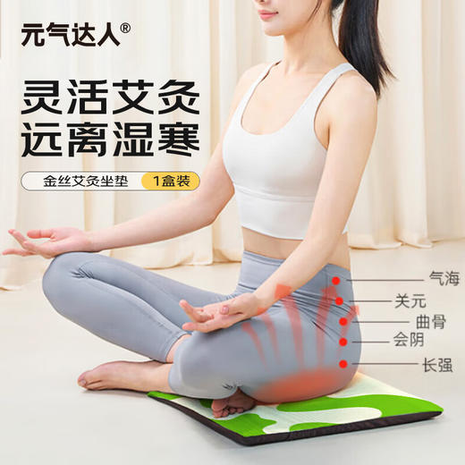 元气达人 金丝艾绒草本热敷坐垫 43x43cm 电热毯加热热敷四季可用 1个/盒 商品图0