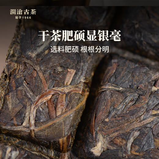 好茶 90g 商品图2