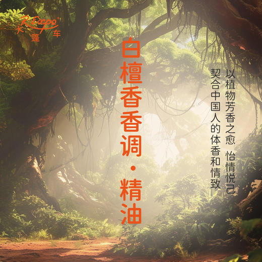 白檀香香调·精油 香氛香调精油植物精油适用香水油 护肤洗护产品 大篷车精油 商品图3