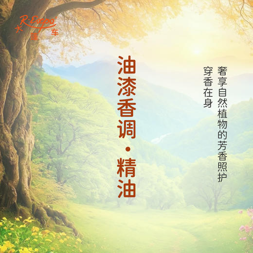 油漆香调·精油 香氛香调精油适用香水油护肤品护体香 大篷车精油 商品图2