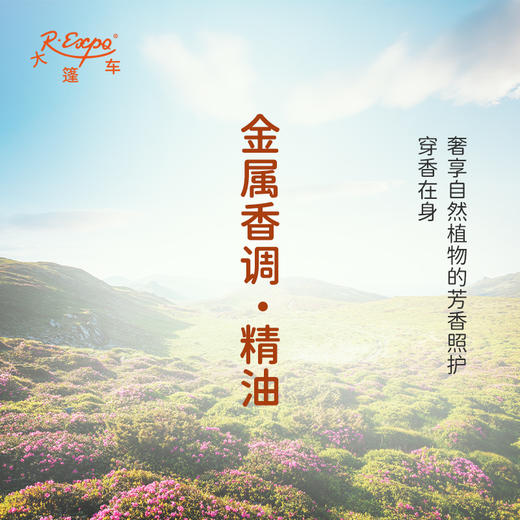 金属香调·精油 香氛香调精油适用香水油护肤品护体香 大篷车精油 商品图2