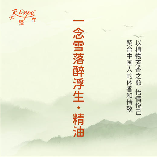 一念雪落醉浮生·精油 古风香调精油 适用香水油护肤护体香 大篷车精油 商品图3
