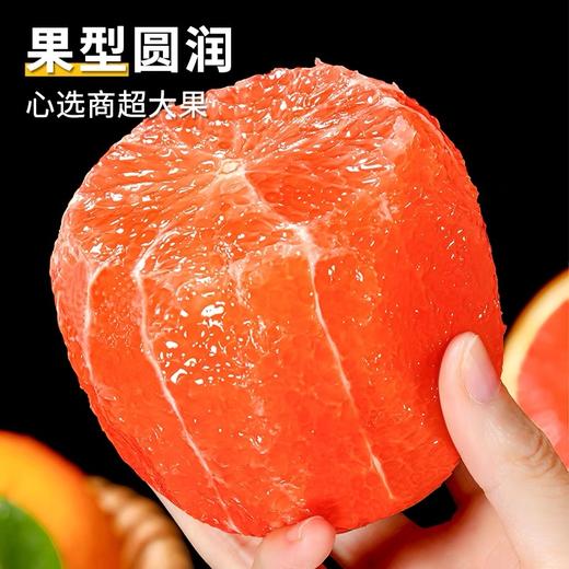 中华红橙 血橙 商品图3