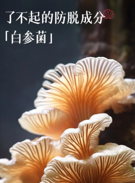 揭秘防脱成分｜白参菌的不凡力量