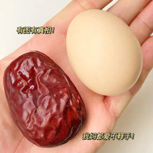 热卖中！！【昆仑雪水养大的枣】七月鲜新疆昆仑和枣 商品图1