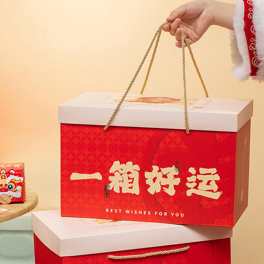 新年礼盒一箱好运：六件大礼-红茶冷泡茶1盒+绿茶冷泡茶1盒+木耳1罐+高山笋衣1罐+办公隐茶杯红茶/绿茶各10个 商品图2