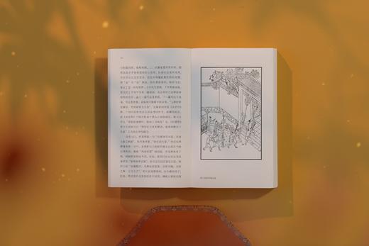 秋水堂论金瓶梅（插图袖珍本） 商品图9