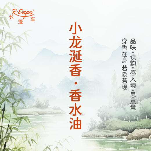 小龙涎香香水油 古风香调 植物精油香氛 适用护体香 护手油 润发丝 大篷车精油 商品图1
