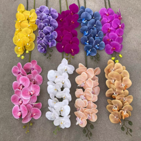 仿真-蝴蝶兰大号