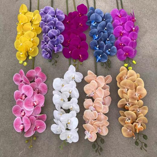 仿真-蝴蝶兰大号 商品图0