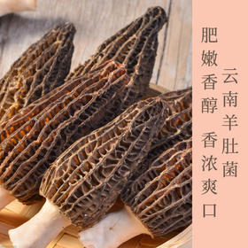 云南高原干货羊肚菌   个头大  菌帽黑   自然晾晒  人工精选  煲汤汤色纯正  菌味鲜美 老少皆宜