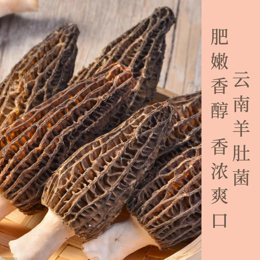 云南高原干货羊肚菌   个头大  菌帽黑   自然晾晒  人工精选  煲汤汤色纯正  菌味鲜美 老少皆宜 商品图0