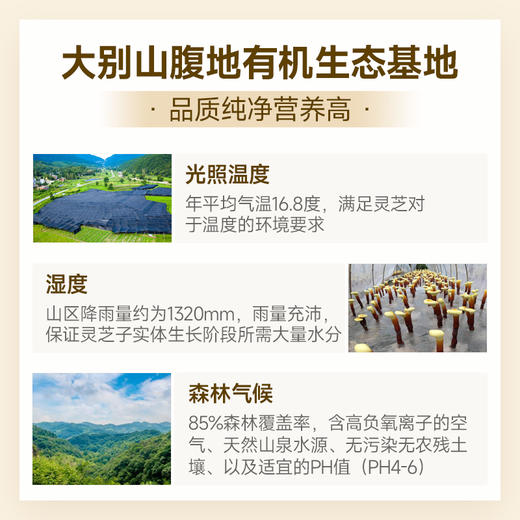 元维正破壁灵芝孢子粉 商品图2