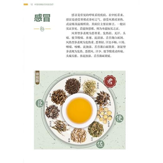 中医经典妙方对症自疗 商品图4