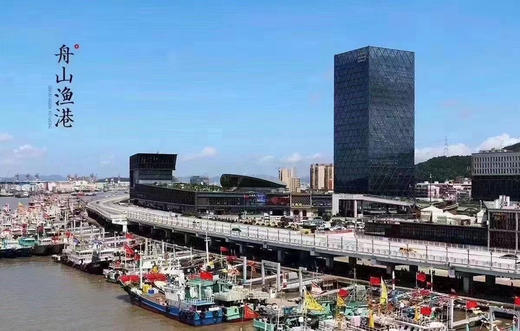 🔥限时1️⃣9️⃣.9️⃣【舟选现烤鱼片】减脂必备！29.9/5袋！再送1️⃣袋  ✅100%深海鳕鱼  ✅8斤鳕鱼出1斤鱼片  ✅低温烘烤，现烤现发  ✅⁠0防腐、⁤0淀粉 商品图10