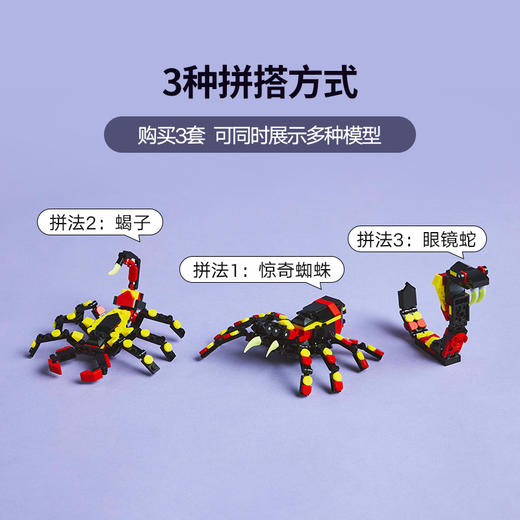 乐高 LEGO野生动物：惊奇蜘蛛LEGC31159 商品图4