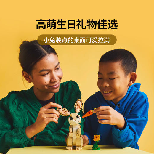 乐高 LEGO可爱的兔子LEGC31162 商品图3