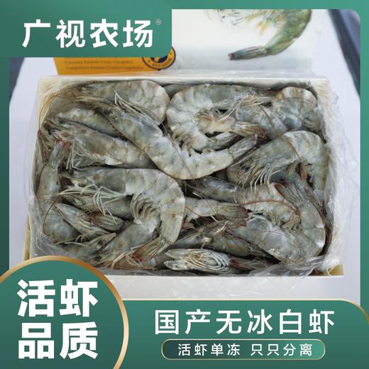 南美白虾无冰大白虾 3斤装 商品图0