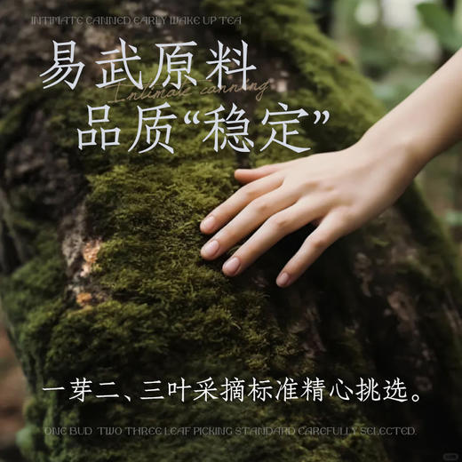 陈升福元昌 2024年福茶50g罐装品鉴（生茶） 商品图2