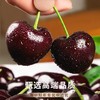 心选丨智利进口车厘子5斤新鲜水果应当季礼盒 甜蜜多汁 顺丰空运 商品缩略图3
