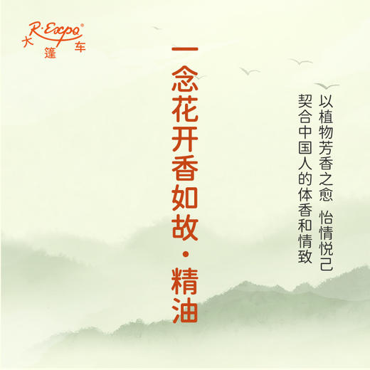 一念花开香如故·精油 古风香调精油 适用香水油护肤护体香 大篷车精油 商品图3