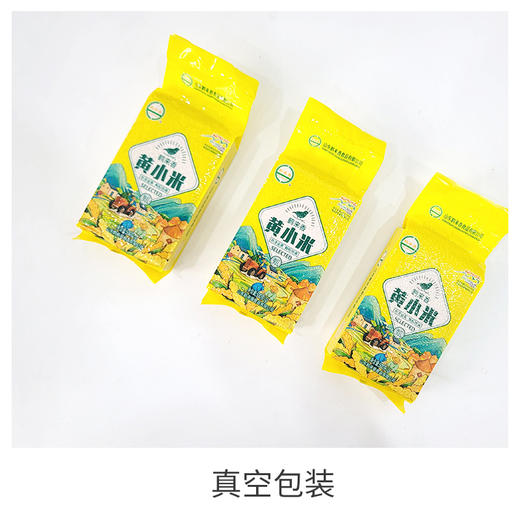 【山西黄小米，香糯可口】黄小米500g散装 山西新米农家香糯小米 五谷杂粮粥粗粮-QQ 商品图1