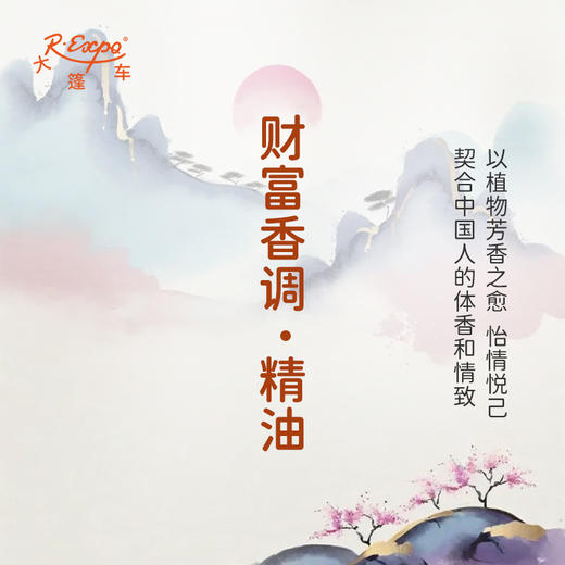 财富香调·精油香氛 适用芳香养身护体香护肤私定产品 大篷车精油 商品图3