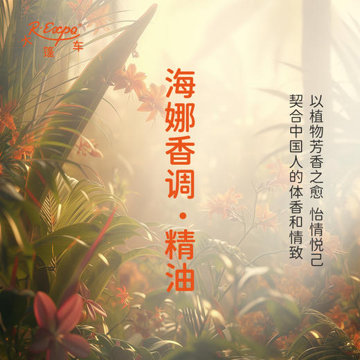 海娜香调·精油 适用香水油护肤品护体香 大篷车精油 商品图3