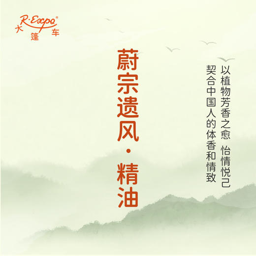 蔚宗遗风·精油 古风香调精油 适用香水油护肤护体香 大篷车精油 商品图3