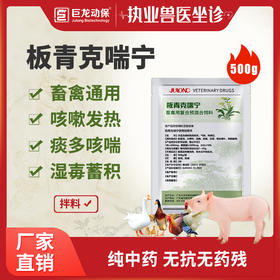 【板青克喘宁】肺热咳喘 清热解毒 宣肺平喘 呼吸道 500g