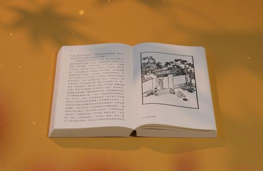 秋水堂论金瓶梅（插图袖珍本） 商品图8