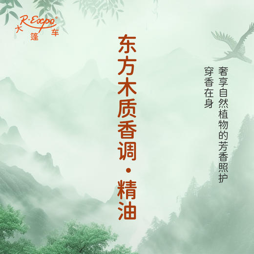 东方木质香调·精油 适用护肤洗护空间香氛私定产品 大篷车精油 商品图2