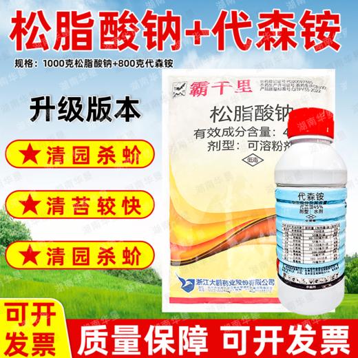 大鹏松脂酸钠升级版苍穹剑代森铵组合蚧壳虫介壳虫害虫果树清园剂 商品图0