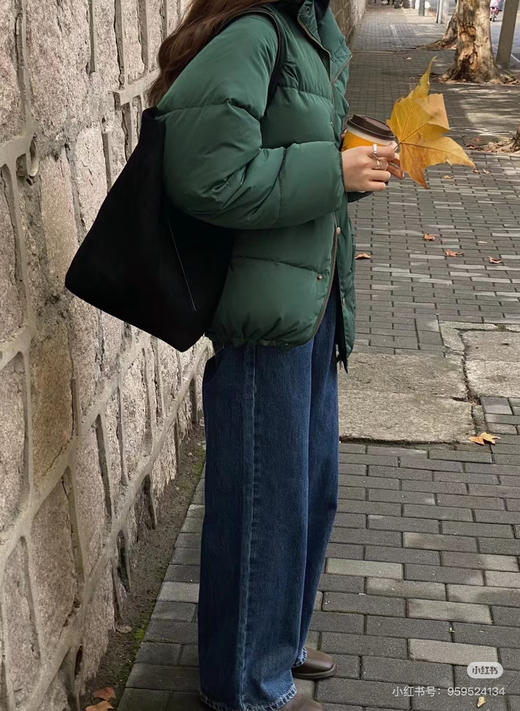 2412503   小立领 宽松羽绒服 韩国🇰🇷（7天发货） 商品图11