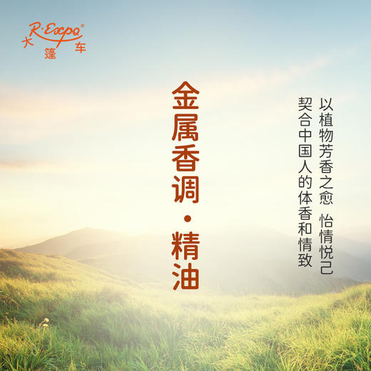 金属香调·精油 香氛香调精油适用香水油护肤品护体香 大篷车精油 商品图3