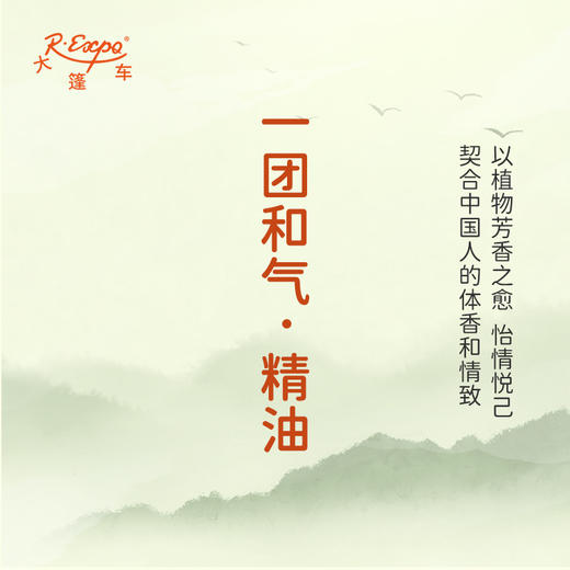 一团和气·精油 古风香调精油 适用香水油护肤护体香 大篷车精油 商品图3